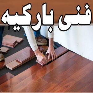 فني باركيه