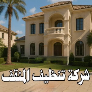 شركة تنظيف المنقف 
